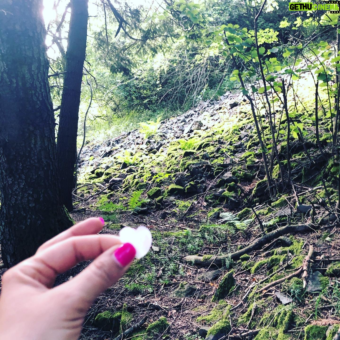 Zdenka Predná - 702 Likes - 💚🍓💚