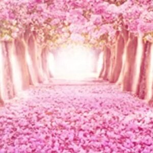 Zerocalcare Instagram - Cosa sappiamo davvero degli over 35? 
Come vivono, quali i loro sogni, quali pressioni?
Un viaggio attento e delicato nel loro universo insignito di numerosi premi per la miglior dizione.