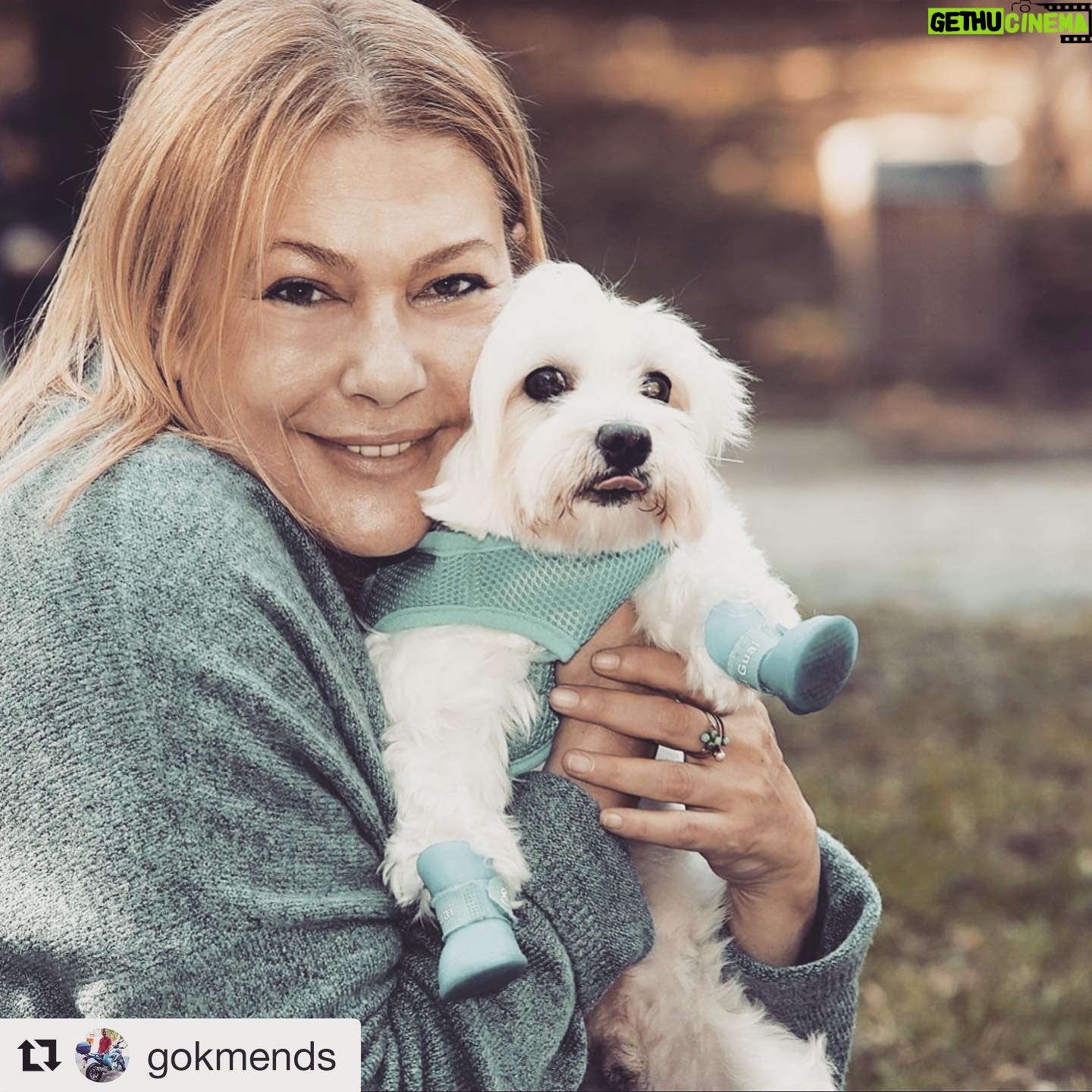 Zeynep Eronat - 842 Likes - Momo,Mimi ve ben Åairler parkında #kalbimdekipatiler iƧin rƶportaj ve fotograf Ƨekimi yaptık...Ayrıca bu güzel fotolar iƧin harika fotoÄrafƧı @gokmends e Ƨok teÅekkürler #pati #pet #kalbimdekipatiler #dog #kƶpek #malteseterrier #momo #mimi @Åairlerparkı