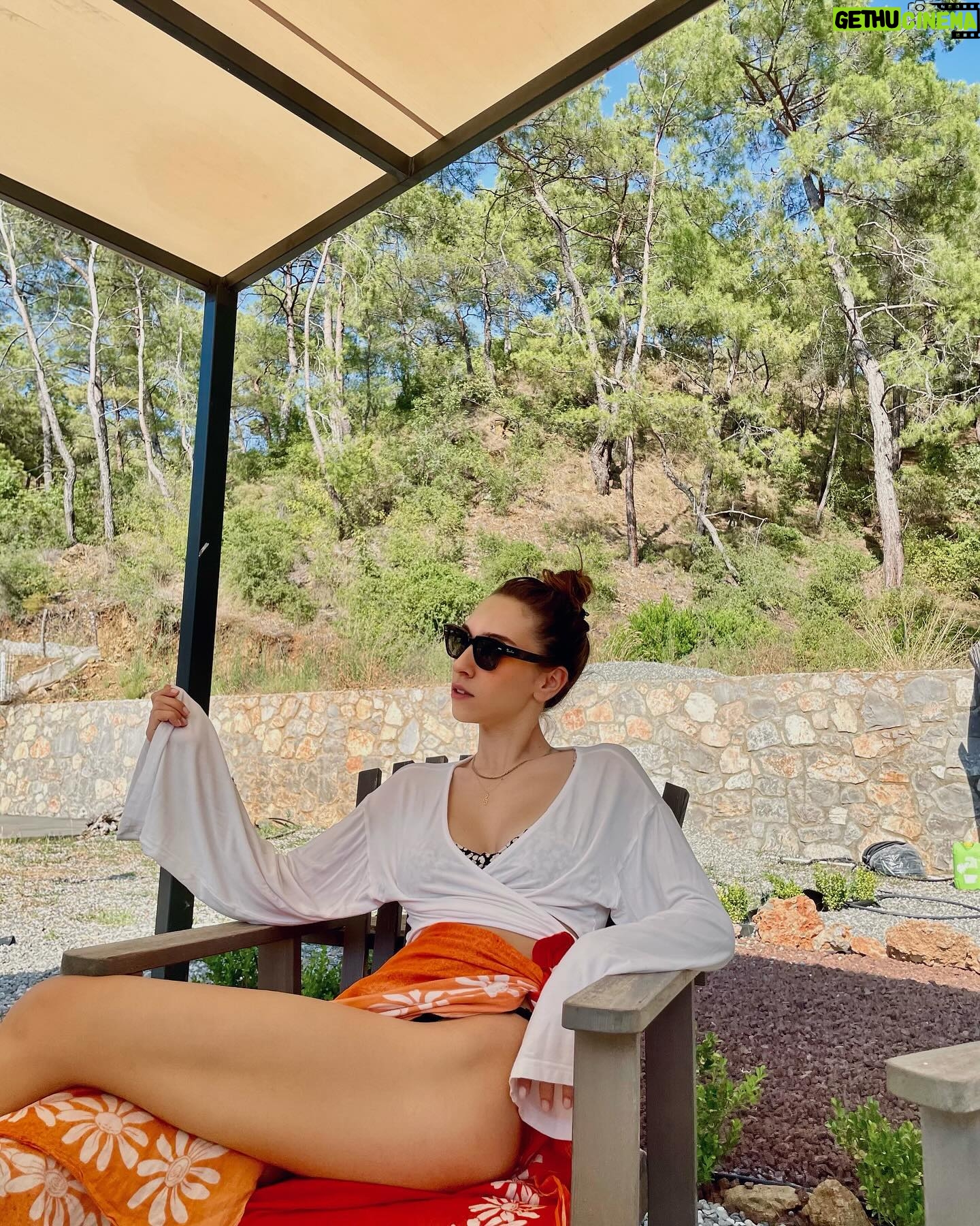Zeynep Parla - 1.3K Likes - Bu bir yaza özlem postudur. 🦚