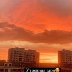 Zhanyl Asanbekova