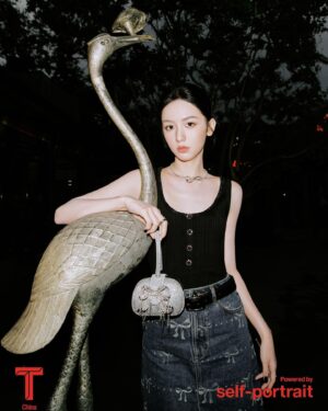 Zhou Ye Instagram - 🪩@mrselfportrait