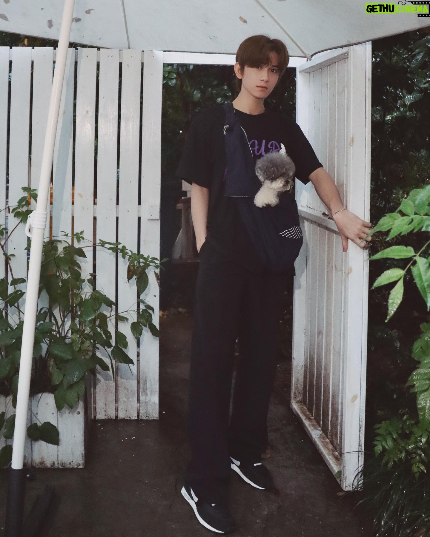 Zhu Zanjin - 34.1K Likes - 🌧️