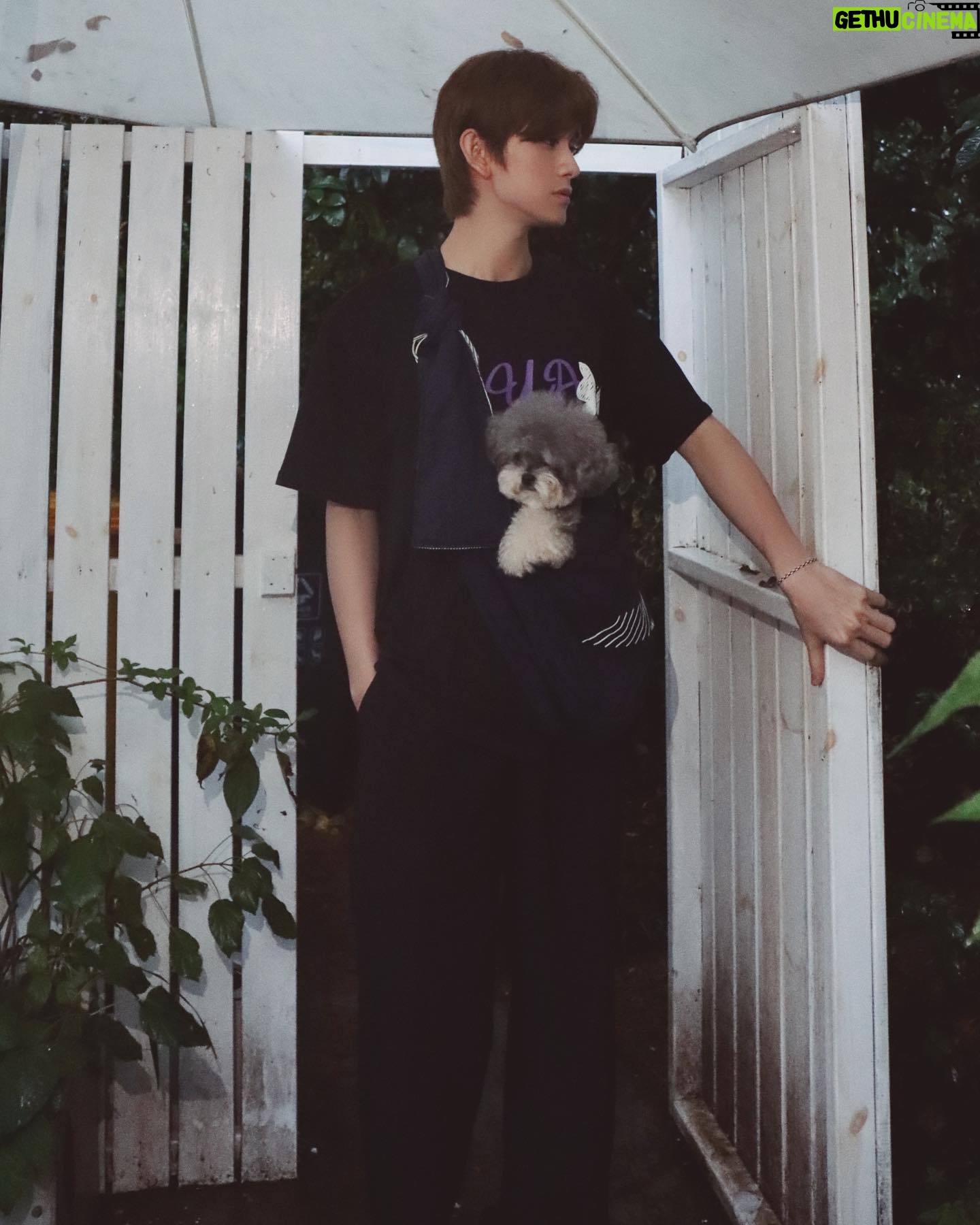 Zhu Zanjin - 34.1K Likes - 🌧️