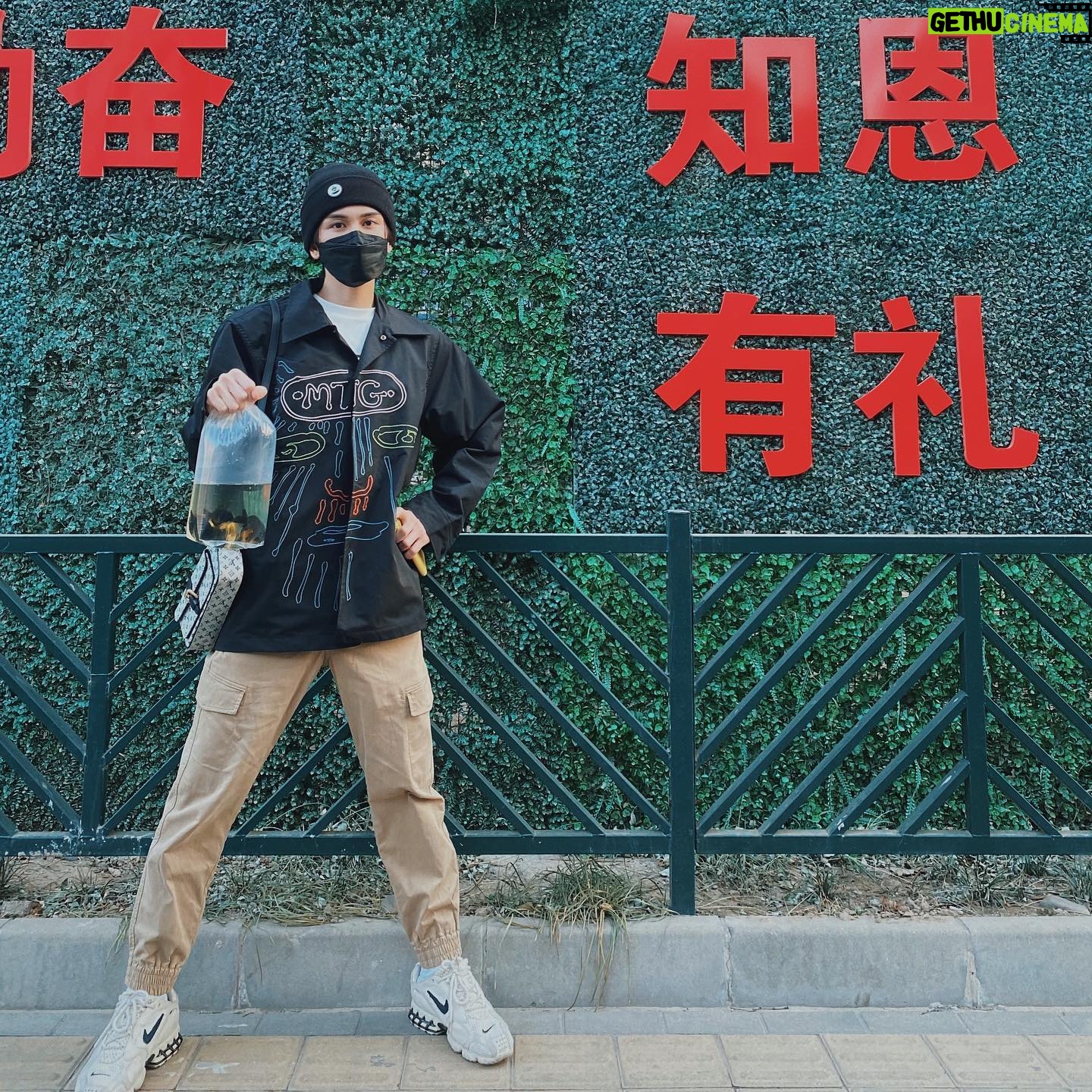 Zhu Zanjin - 31.7K Likes - Happy Birthday 🎂Yao!