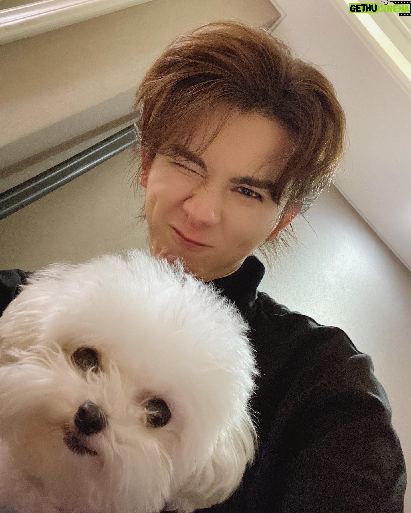 Zhu Zanjin - 36.3K Likes -
