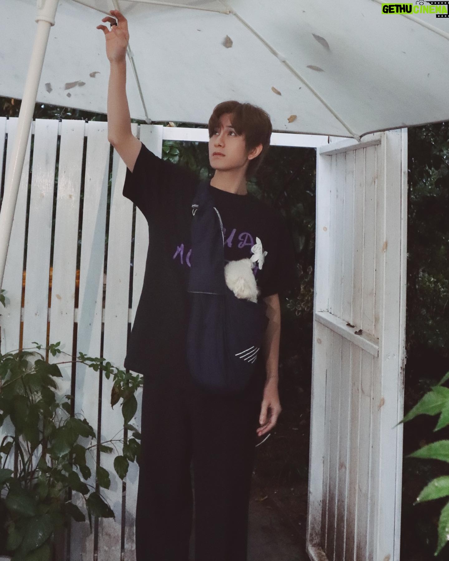 Zhu Zanjin - 34.1K Likes - 🌧️