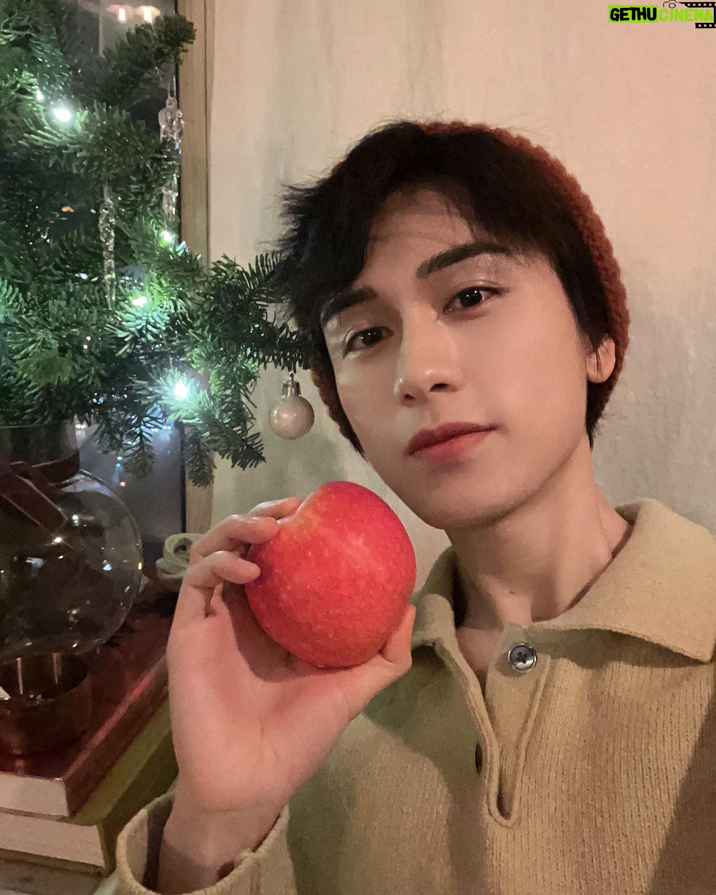 Zhu Zanjin - 31.5K Likes - 🎄🍎