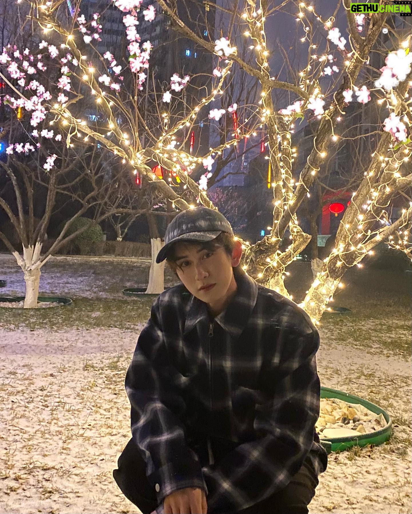 Zhu Zanjin - 29.8K Likes - ❄️