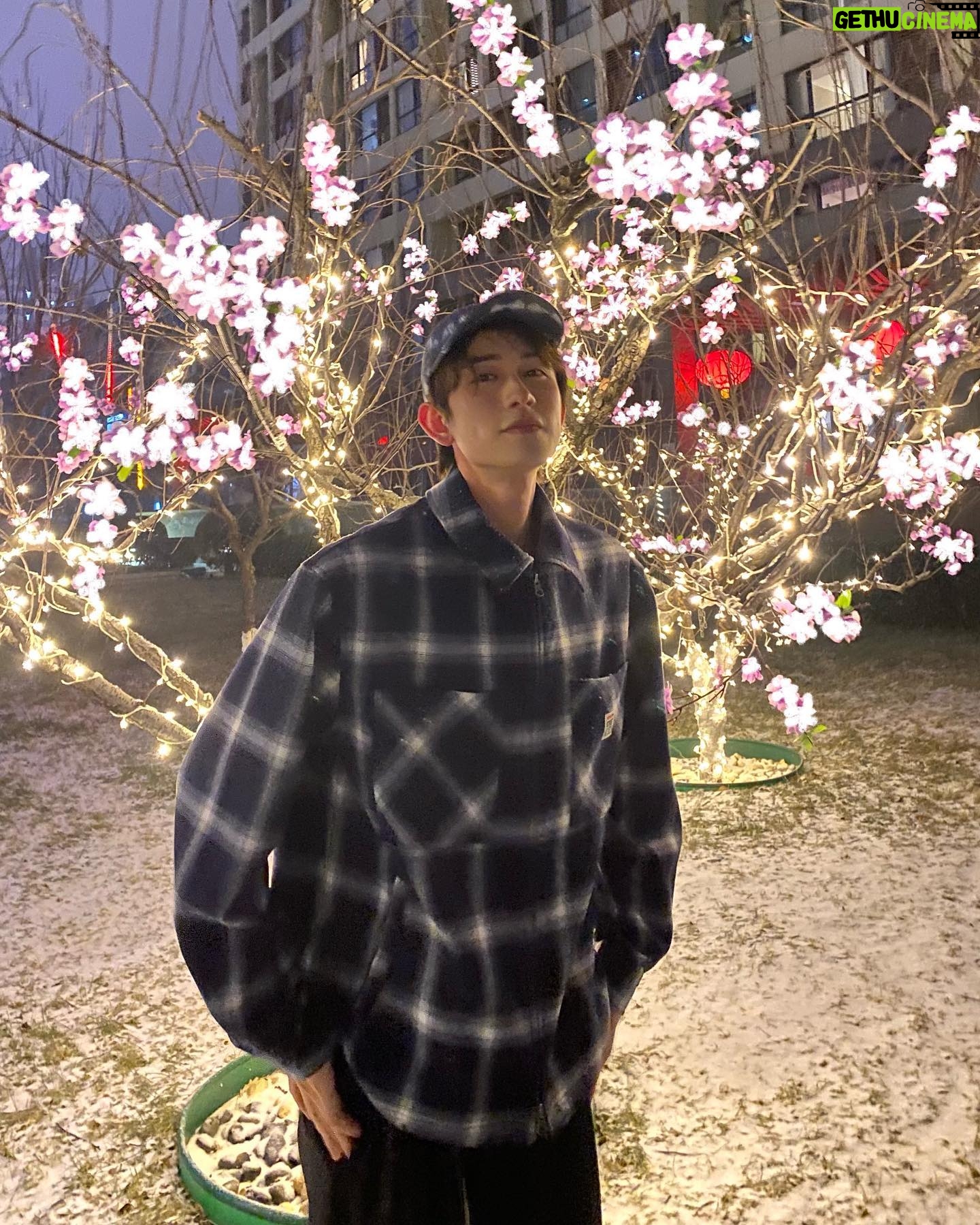 Zhu Zanjin - 29.8K Likes - ❄️