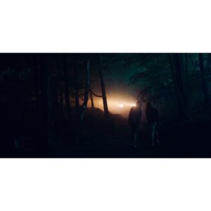 Zoë White Instagram - DARE ME premieres on December 29th on USA Network, starring Herizen Guardiola, Marlo Kelly and Willa Fitzgerald. i shot the pilot with director Steph Green and the season was beautifully shot by Dagmar Weaver-Madsen. based on the bestselling book by Megan Abbott who produced and wrote the series together with Gina Fattore. big shoutouts to our killer Toronto crew💥