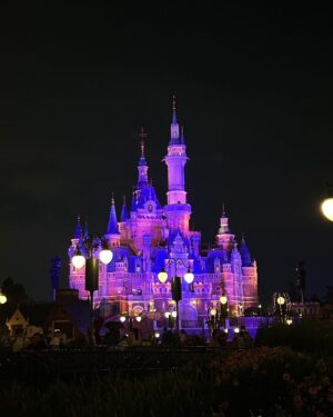 imase Instagram - アジアツアーのオフ日に上海ディズニーに行ってきました🏰✨
ディズニー自体も7年〜8年ぶりぶりぐらい！楽しかった！
ズートピア最高〜〜！！✌️

#imase #shanghaidisneyland #pr