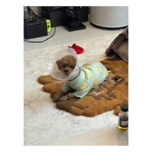 pH-1 Instagram - babo is just boba backwards