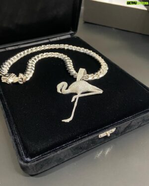 syudou Instagram - GRILLZ.JEWELZ(@grillzjewelz_is_right)でフラミンゴ型のオリジナルジュエリーを製作して頂きました💎
長年の夢だったオーダージュエリー、、、皆のおかげです本当にありがとう😭活動もっともっと頑張ります！
今後ライブやメディア露出の時に付けて出る予定なんで首元をチェケラ🦩