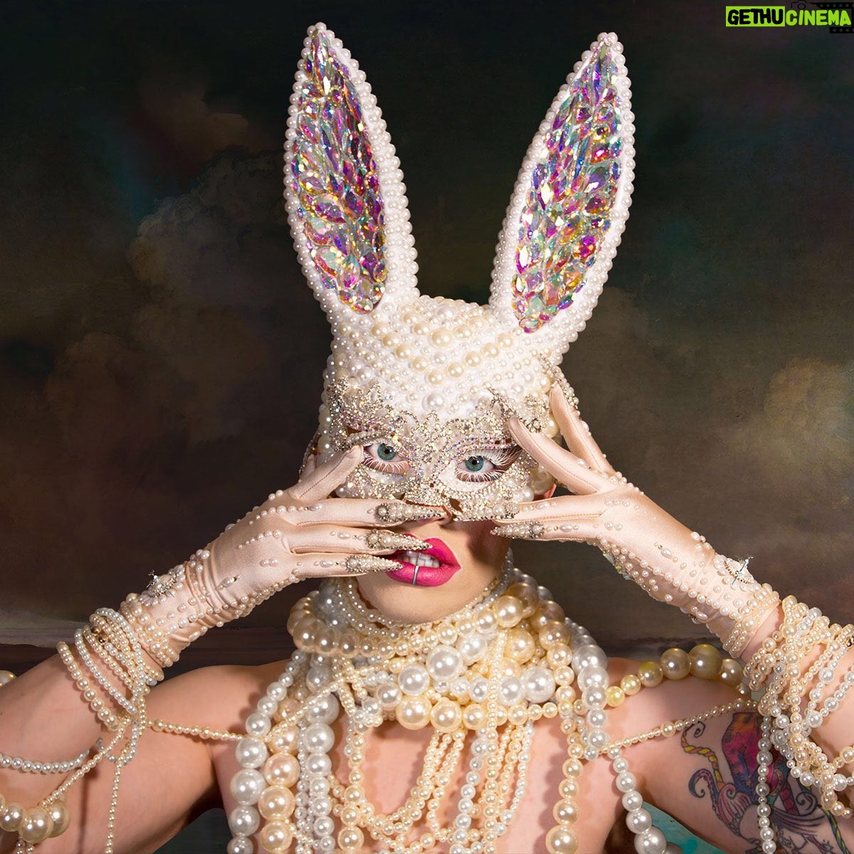 Acid Betty - 11.1K Likes - 🐰Rabbit hiding decorated chicken eggs by day…
🐣