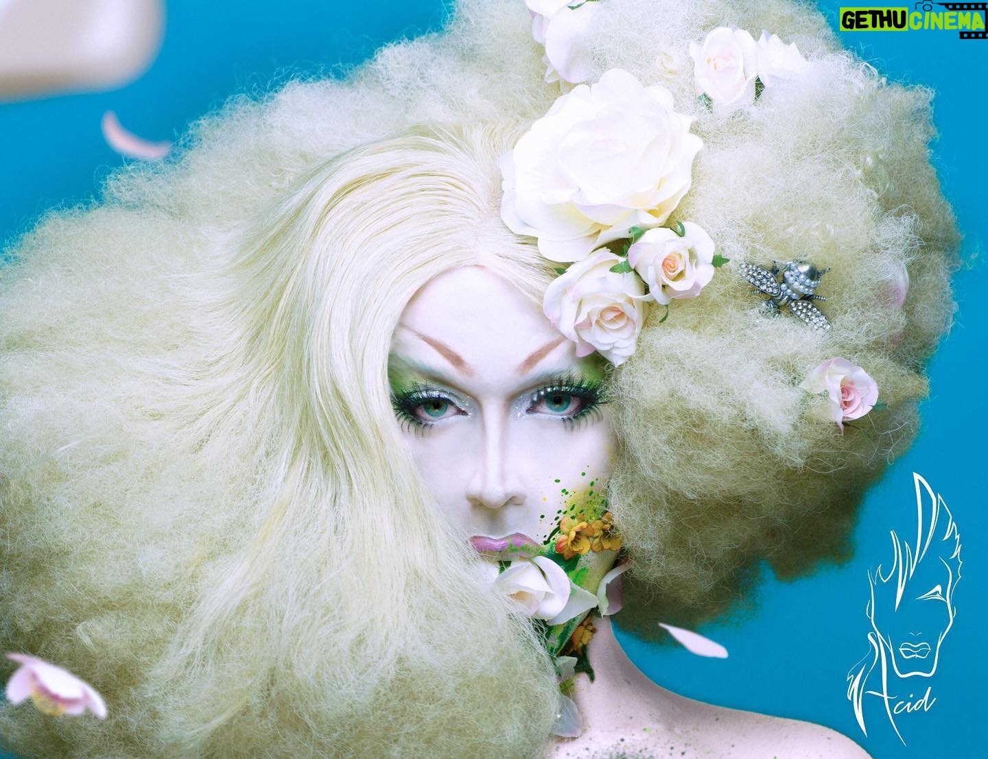 Acid Betty - 1.8K Likes - 🐝OMG Spring is really here!! The bees are buzzing, the birds are horny and the air tastes like flowers 💐 🌺🌸