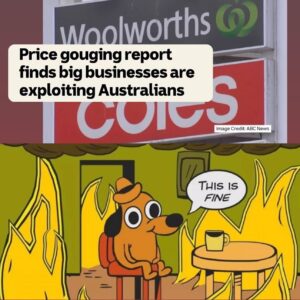 Adam Bandt Instagram - Just dropping in to remind you that this week Labor voted against the Greens bill to break up the supermarket duopoly, and end price gouging. 

It’s shameful that while people can’t afford food, rent, medicine or any of the things they need, Labor would rather prop up the super wealthy and billionaires. 

We need massive systematic change. 

We’ll keep fighting for you.