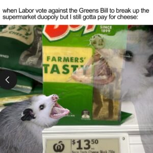 Adam Bandt Instagram - Just dropping in to remind you that this week Labor voted against the Greens bill to break up the supermarket duopoly, and end price gouging. 

It’s shameful that while people can’t afford food, rent, medicine or any of the things they need, Labor would rather prop up the super wealthy and billionaires. 

We need massive systematic change. 

We’ll keep fighting for you.