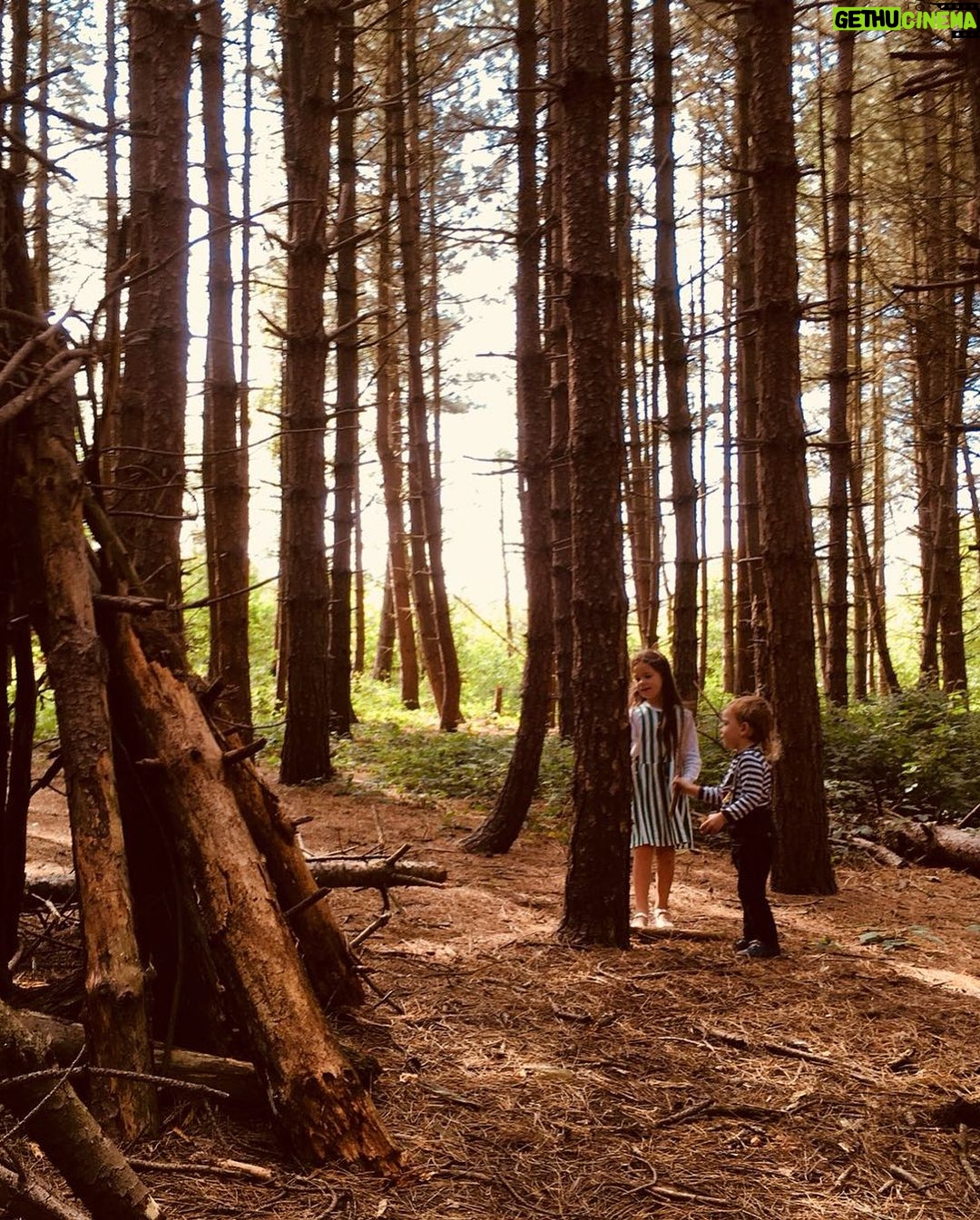 Adam Prendergast - 17.1K Likes - 🌲❤️