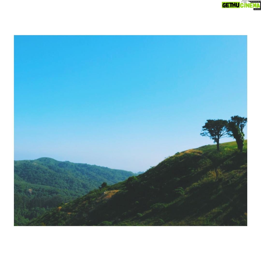 Adib Alkhalidey - 1.2K Likes -