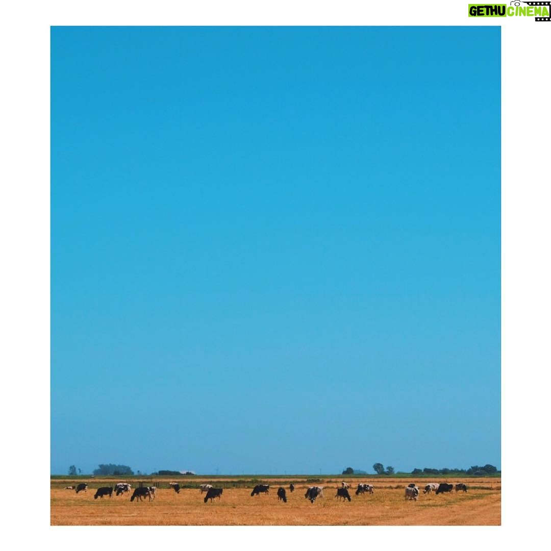 Adib Alkhalidey - 1.7K Likes -