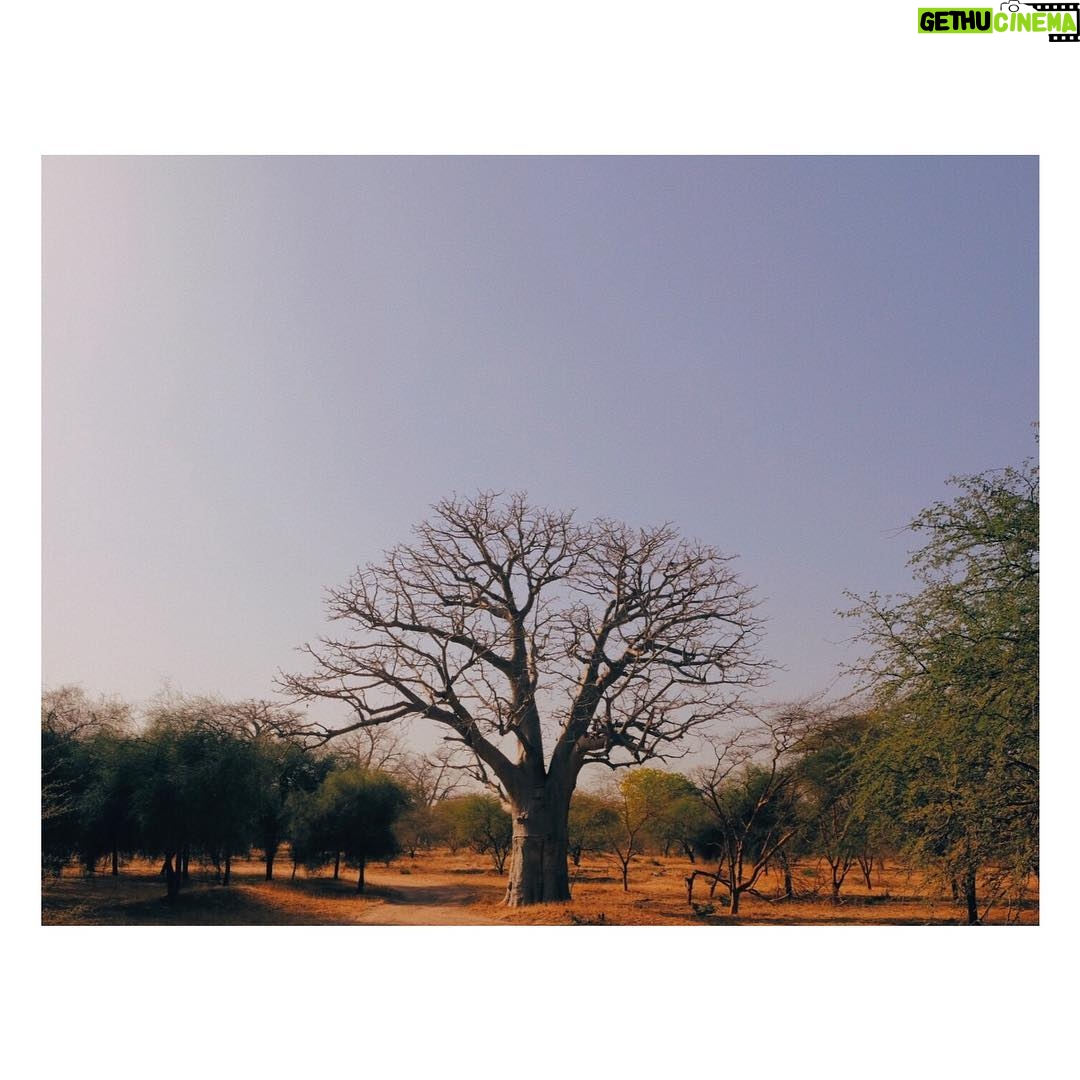 Adib Alkhalidey - 1.1K Likes -