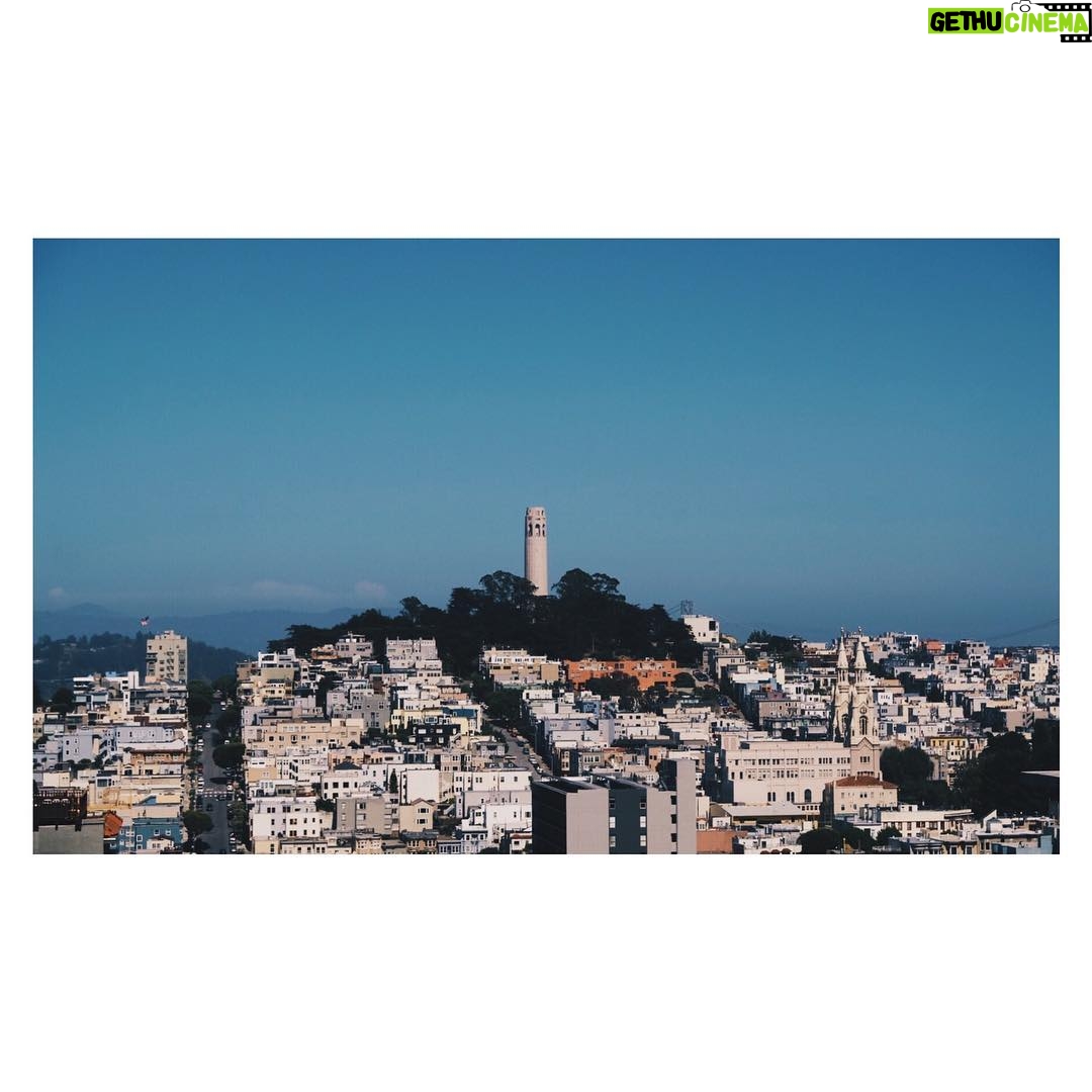 Adib Alkhalidey - 1.1K Likes -