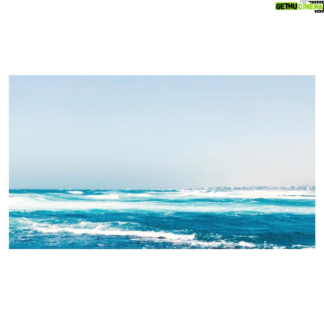 Adib Alkhalidey - 1.4K Likes -