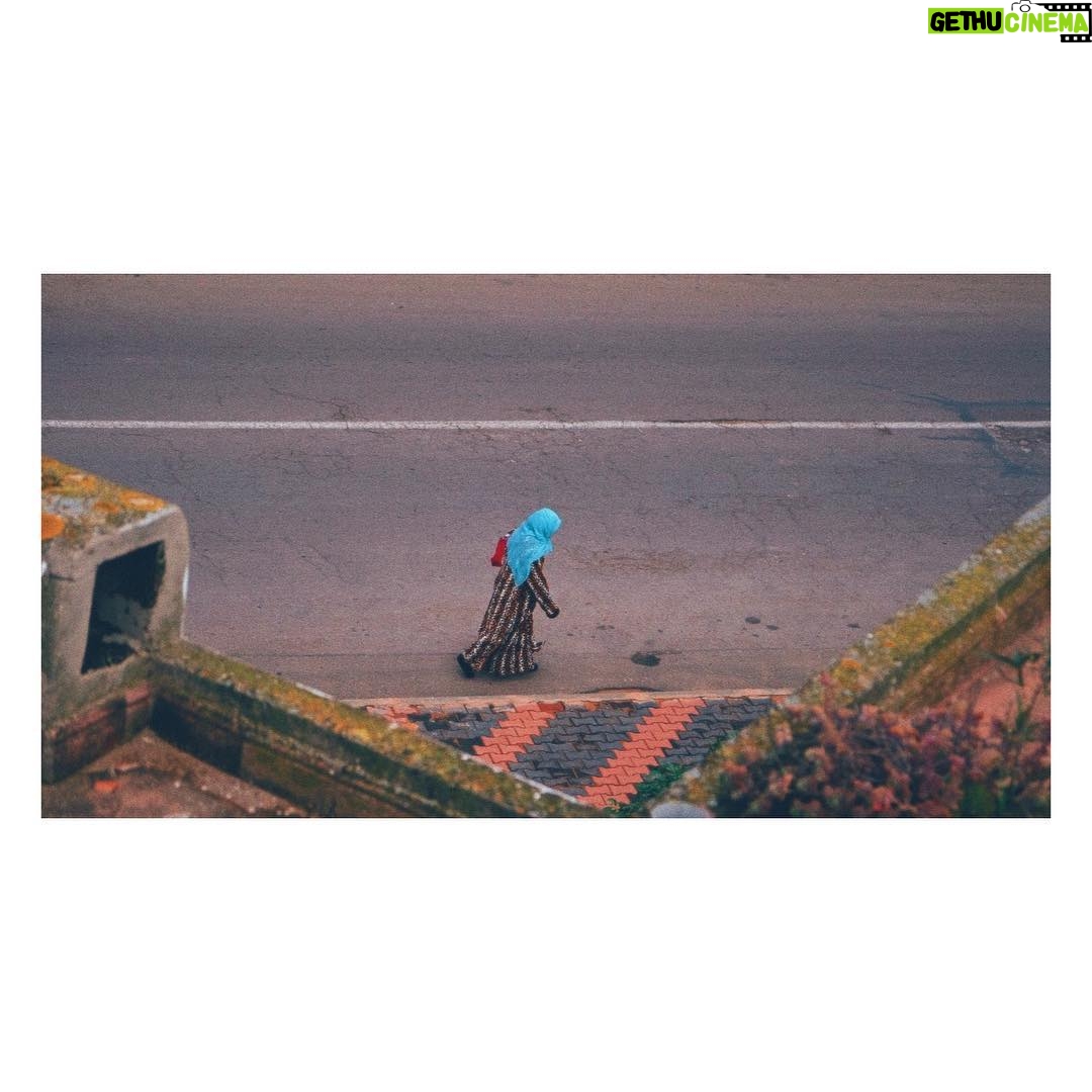 Adib Alkhalidey - 856 Likes -