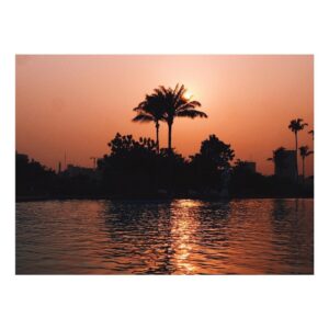 Adib Alkhalidey Instagram - 
