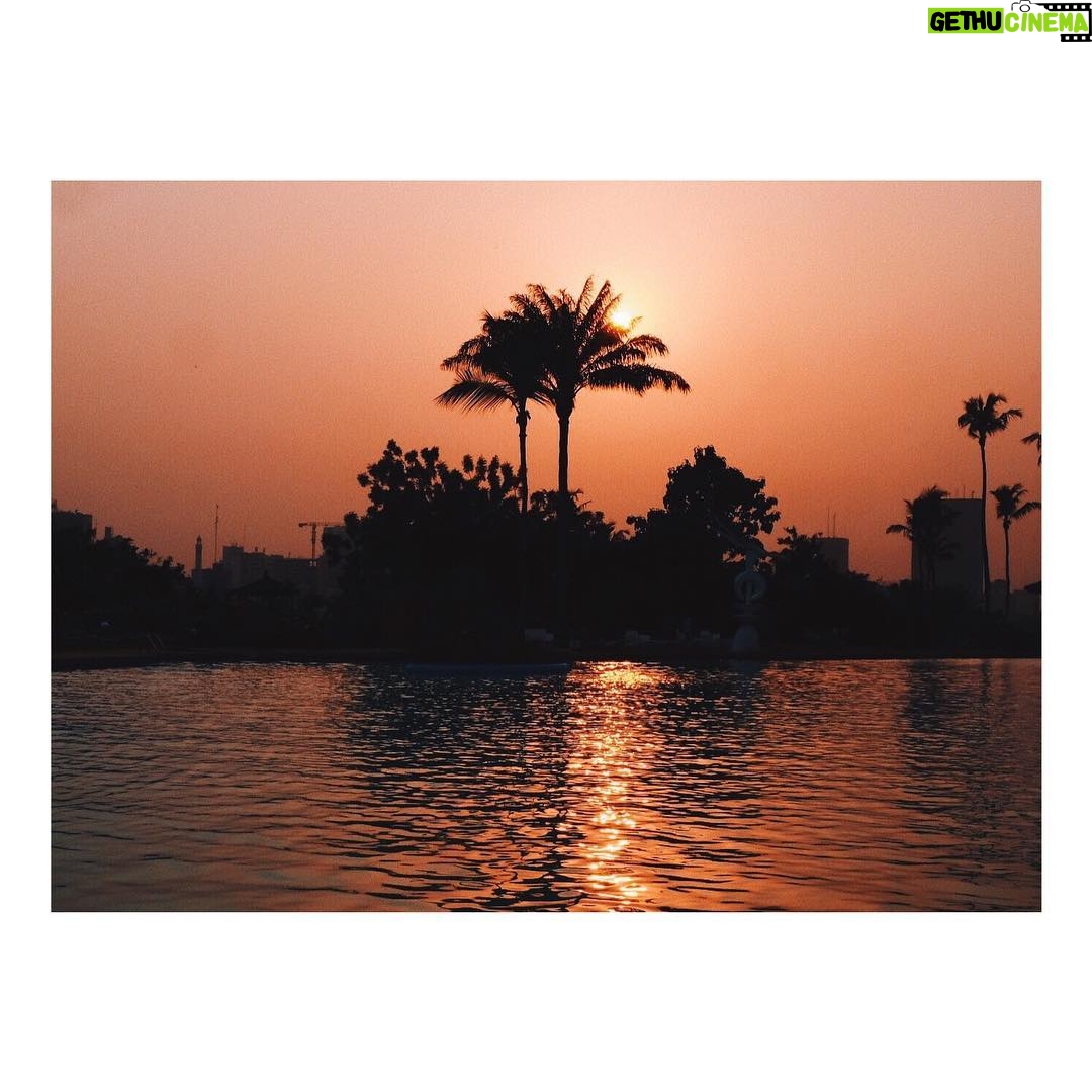 Adib Alkhalidey - 1.2K Likes -