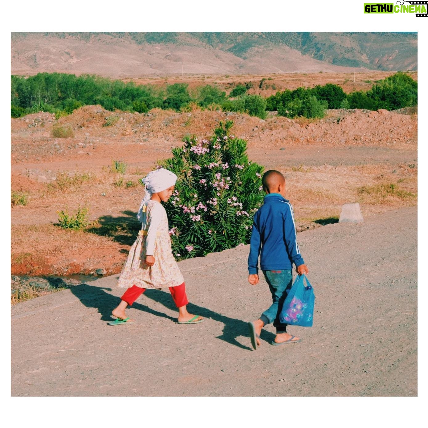Adib Alkhalidey - 0.9K Likes -