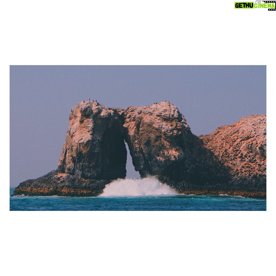 Adib Alkhalidey - 1.7K Likes -