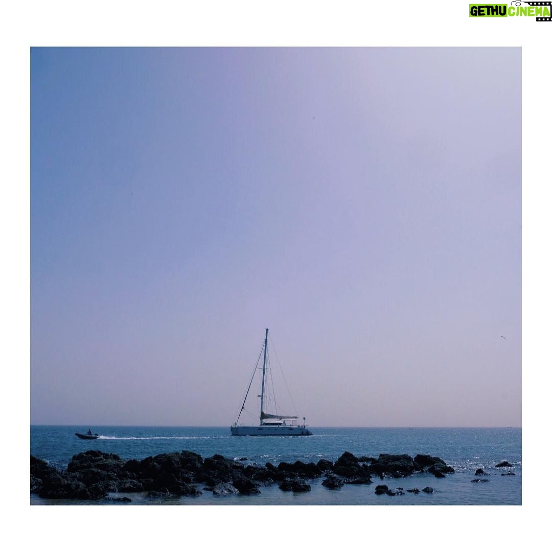 Adib Alkhalidey - 872 Likes -