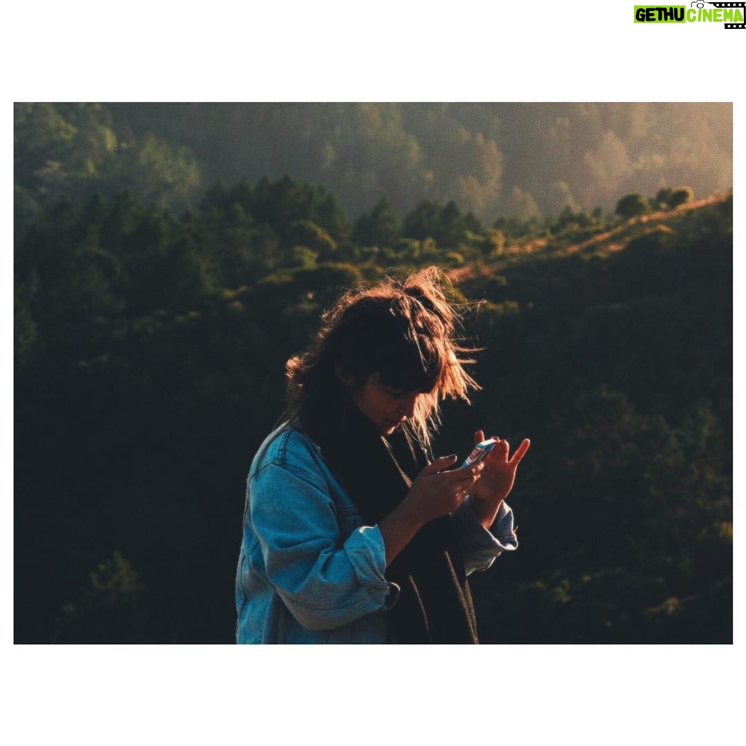 Adib Alkhalidey - 1.7K Likes -