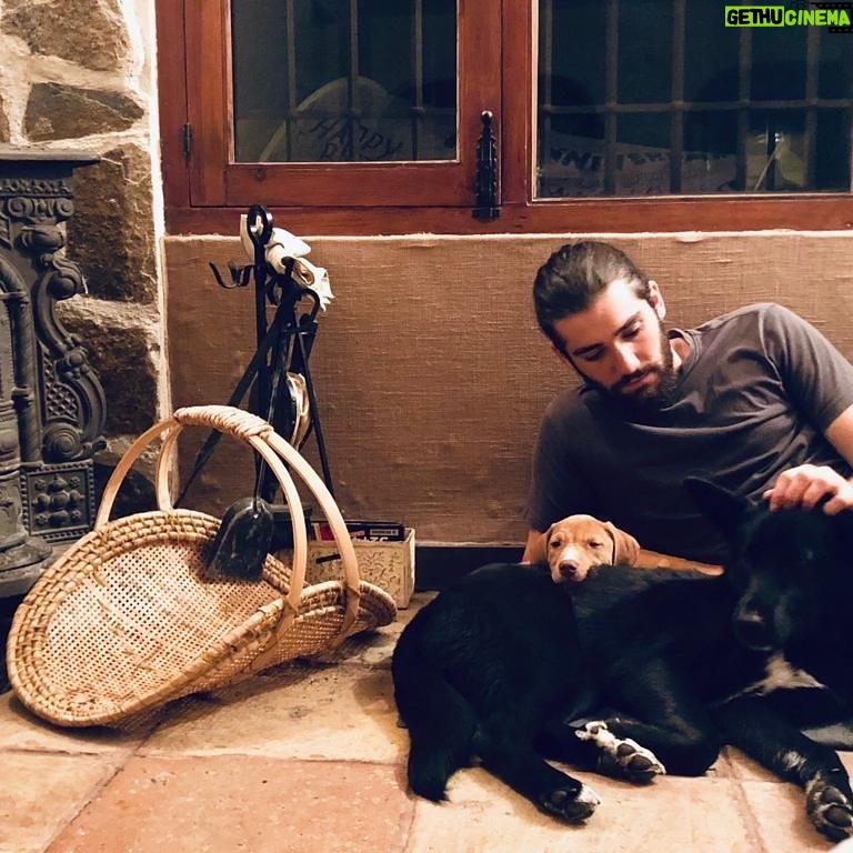 Adrián Salzedo - 2.2K Likes - Needn’t more....SHIRO & SAMBA #love #shiro #dog #autumn #dogsofinstagram #dogs #samba #conzeta #home #house #family #familyphotography #fire #chimenea #iron #wood #breathin #relax #relaxtime