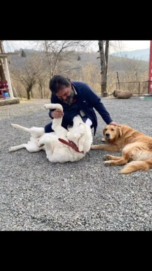 Ahmet Yenilmez Instagram - Dostsuzluk …