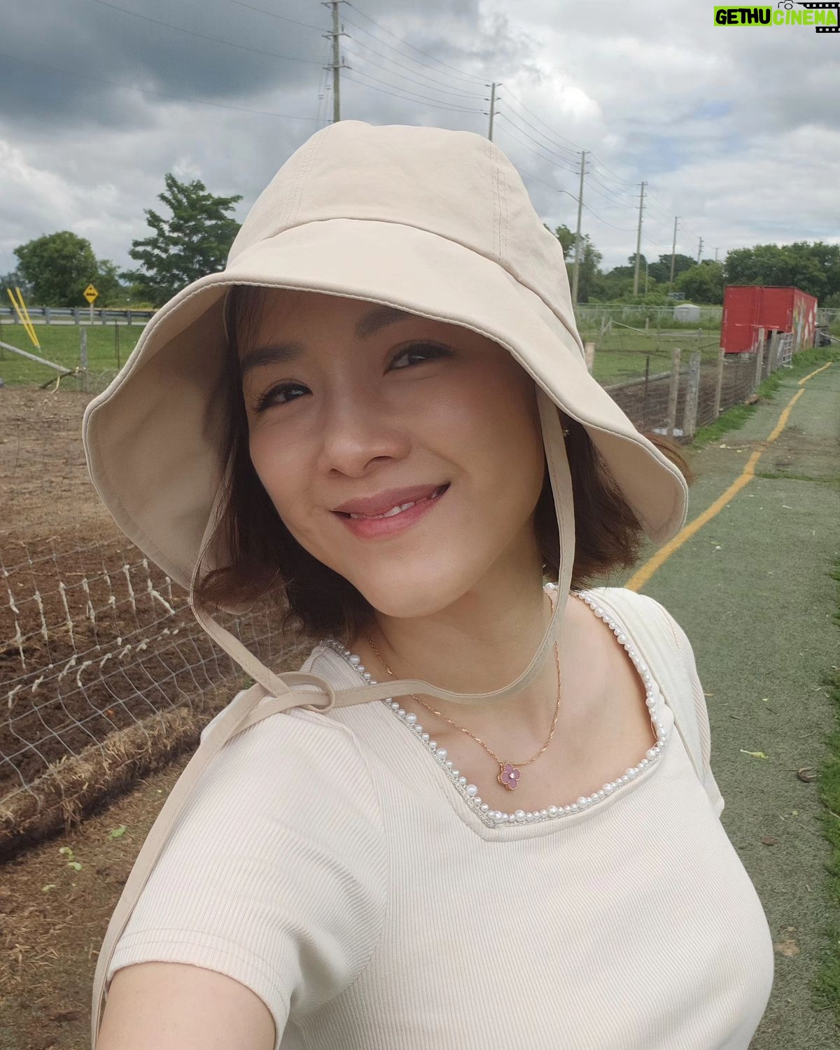 Aimee Chan - 11.7K Likes - Sunshine ☀️is the best all natural mood booster! 💕Thank you to my eldest for taking this photo for me. His height is the perfect angle for making my legs appear longer and slimmer ! 😆 Wahahahahahaha!
#farmlife #toronto #summer #fab4 #today