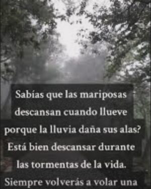 Ainhoa Arteta Instagram - Eso es muy sabio