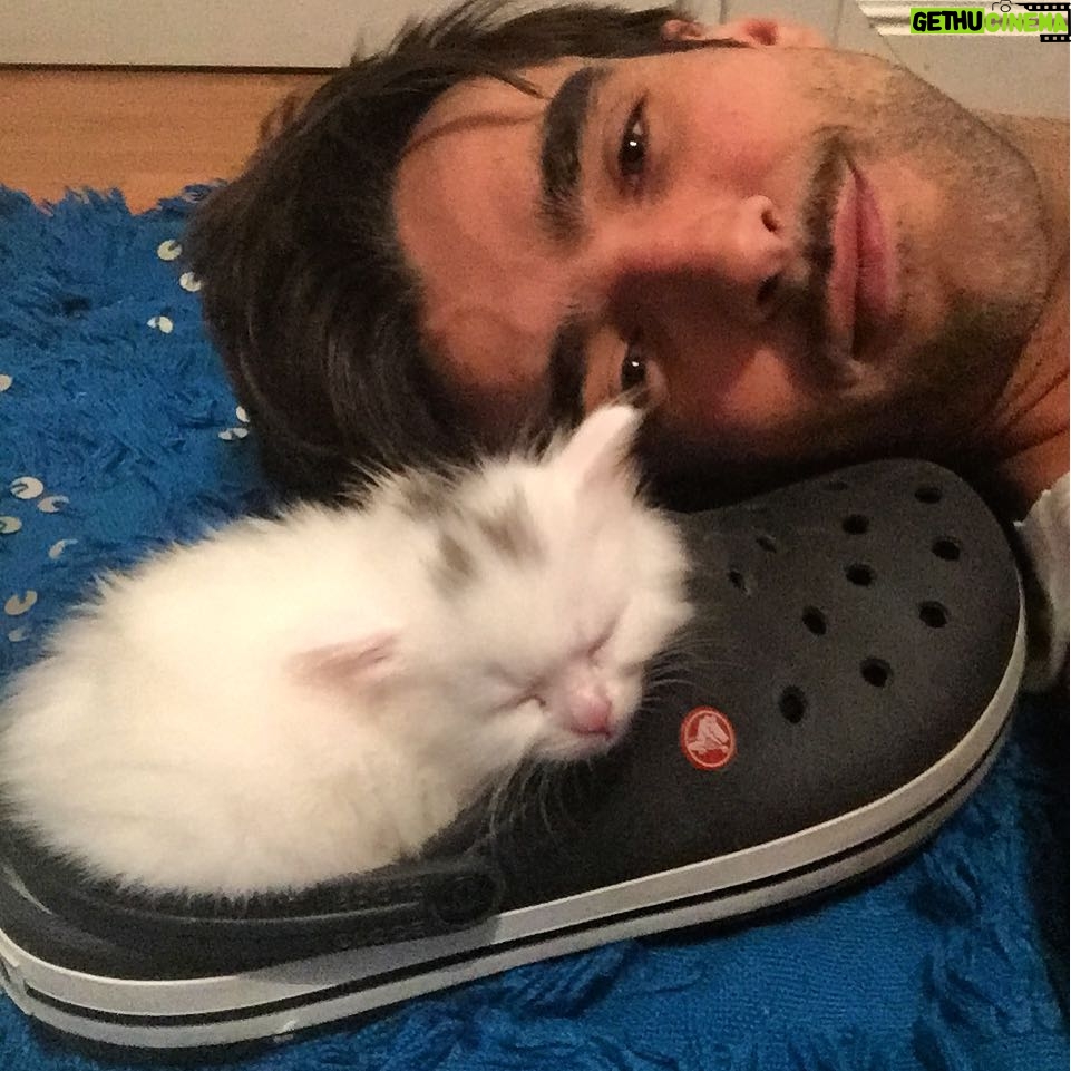 Aitor Luna - 4.7K Likes - Pues ala....a dormir....buenas noches!!😍#amorgatuno