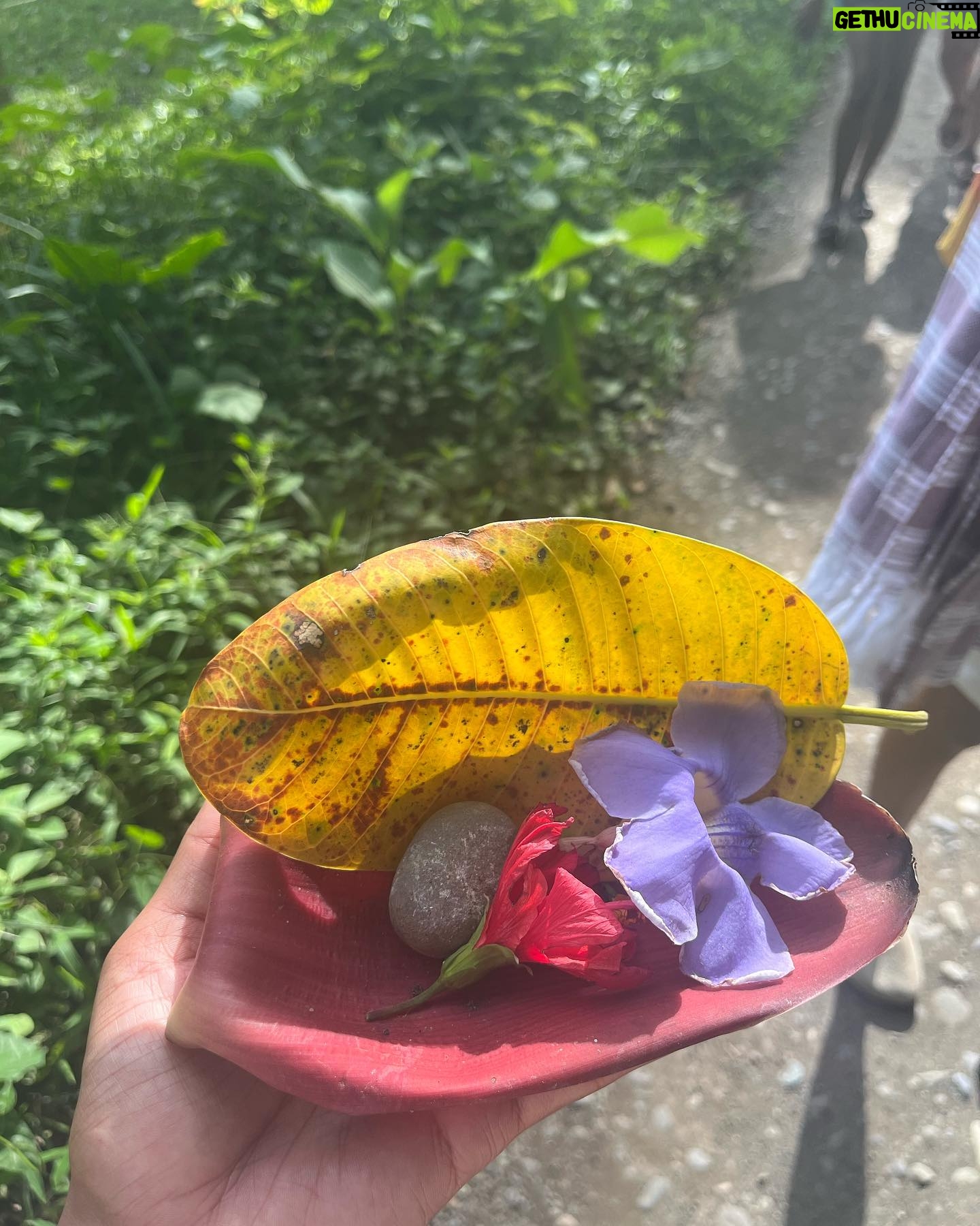Ajani Russell - 2.6K Likes - Bliss is truly just eating a coconut you opened with only your hands under a waterfall.
I went on a very special retreat with @theintuitionschool.co last month. I attended as a cohost and a teacher but I learned so much on this trip I might as well have been a student. So many lessons and experience that will never be articulated because the land doesnāt speak english. This particular day at the waterfall I released something that no longer served me, I saw many lil frogs and I learned how to crack open a coconut on a rock (El saw me do this and said ādamn youāre carribean afā š) I reconnected with myself and my roots in ways I didnāt know I wanted but definitely needed. The first of many Costa Rica photo dumps. Canāt wait to share the rest with yāall. š«¶š¾