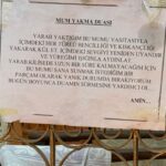 Akasya Asıltürkmen