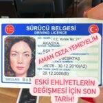 Akasya Asıltürkmen