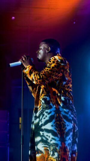 Akon Instagram - There’s Nothing Like The Superfans! #akon #superfantour
