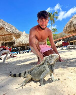 Alan Bronciac Instagram - Y a un pote qui est venu me rendre visite sur la plage 🦎