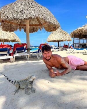Alan Bronciac Instagram - Y a un pote qui est venu me rendre visite sur la plage 🦎