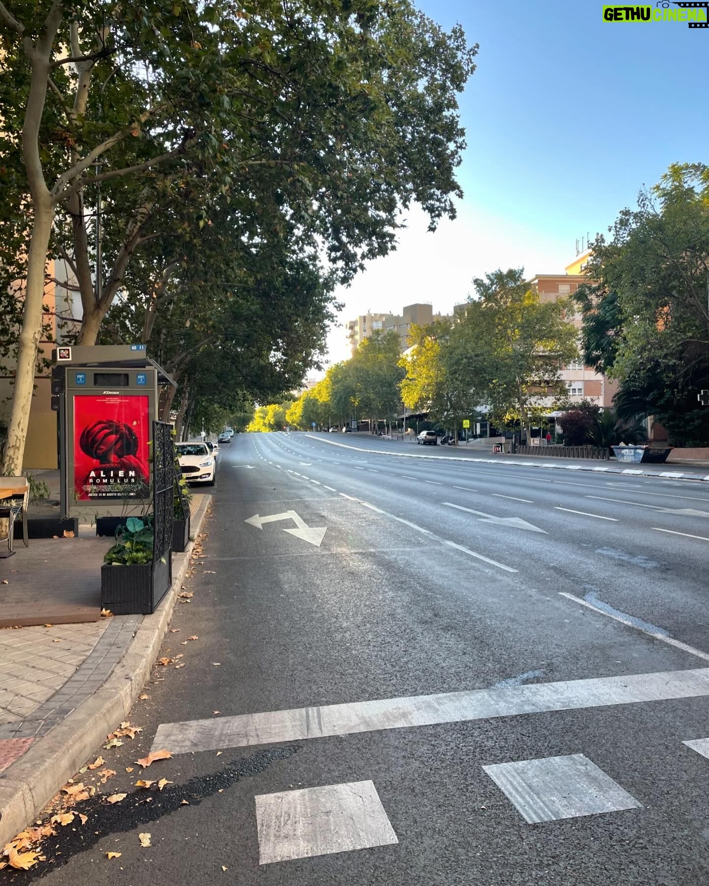 Alaska - 13.9K Likes - Esta mañana… 15 de agosto, Madrid vacío y 17 grados. Todo perfecto, aunque ahora ya ha subido la temperatura (normal, es verano) y hay más gente en la calle (normal, no ha caído una bomba de neutrones).
