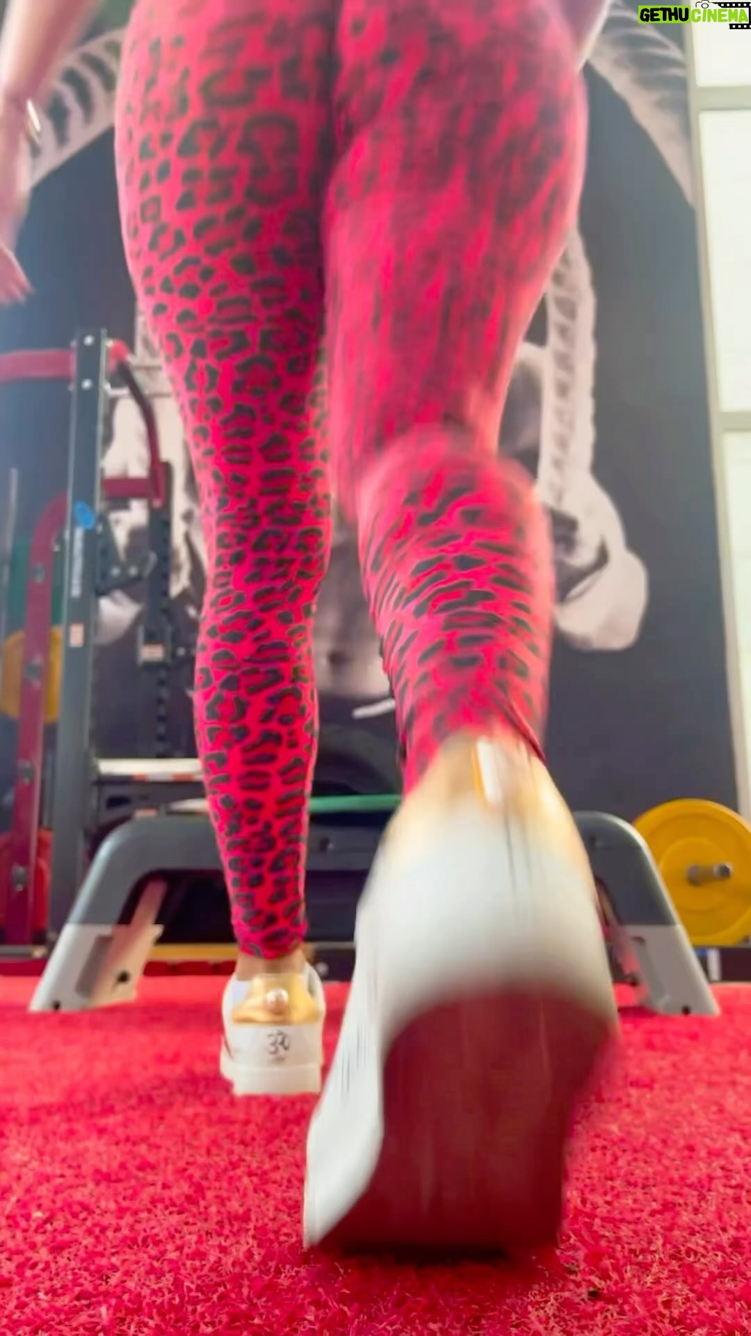 Aleida Núñez - 75.5K Likes - Besos mis corazones hermosos❤️ cuida tu cuerpo y tu alma mujeres siempre fuertes🙏 #equilibrioemocional