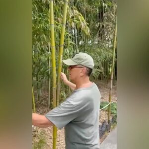 Aleksandr Buynov Instagram - Друзья, привет. Ну что, вот и закончился отдых в лучшем месте на планете – в любимом городе Сочи. Каждый раз убеждаюсь, что Сочи развивается не меньше нашей столицы. Перед вылетом посетил парк «Дендрарий». Здесь собраны деревья и кустарники, привезённые из разных уголков планеты, более 1800 видов и форм, огромное количество редких экзотов. Кстати, пальмы появились в Сочи благодаря основателю парка Сергею Николаевичу Худекову. Друзья, впереди бархатный сезон, всем советую в этот прекрасный период постараться посетить Сочи. Это город очень крутой, и для отдыха и для души! А я улетел домой… #буйнов #сочи #россия #порадомой #лето