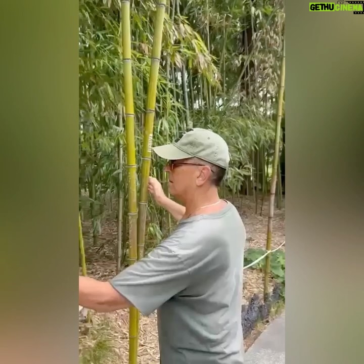 Aleksandr Buynov - 19.7K Likes - Друзья, привет. Ну что, вот и закончился отдых в лучшем месте на планете – в любимом городе Сочи. Каждый раз убеждаюсь, что Сочи развивается не меньше нашей столицы. Перед вылетом посетил парк «Дендрарий». Здесь собраны деревья и кустарники, привезённые из разных уголков планеты, более 1800 видов и форм, огромное количество редких экзотов. Кстати, пальмы появились в Сочи благодаря основателю парка Сергею Николаевичу Худекову. Друзья, впереди бархатный сезон, всем советую в этот прекрасный период постараться посетить Сочи. Это город очень крутой, и для отдыха и для души! А я улетел домой… #буйнов #сочи #россия #порадомой #лето